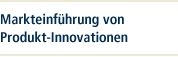 Markteinführung von Produkt-Innovationen - Von der Idee zum Markterfolg