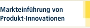 Markteinführung von Produkt-Innovationen - Von der Idee zum Markterfolg